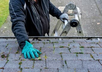 Roof Cleaning (5)