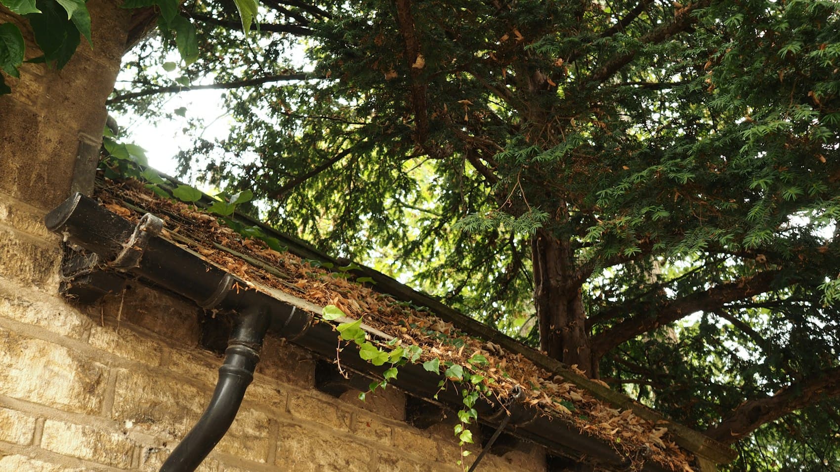 Gutter Cleaning