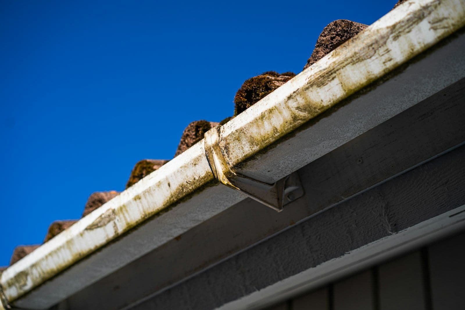 Roof Cleaning (3)